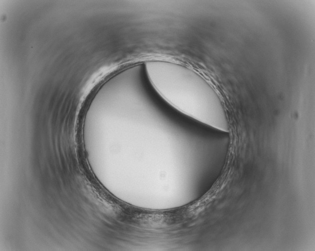 X0000086890104200704161016