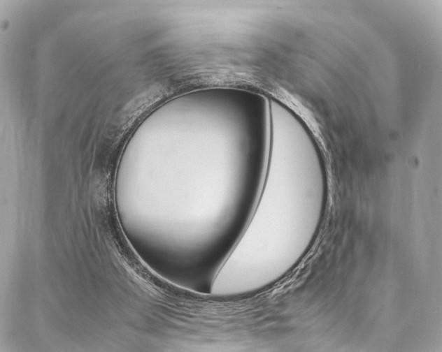 X0000086890105200704161016