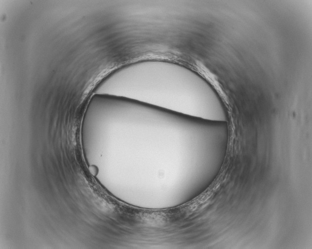 X0000086890106200704161016