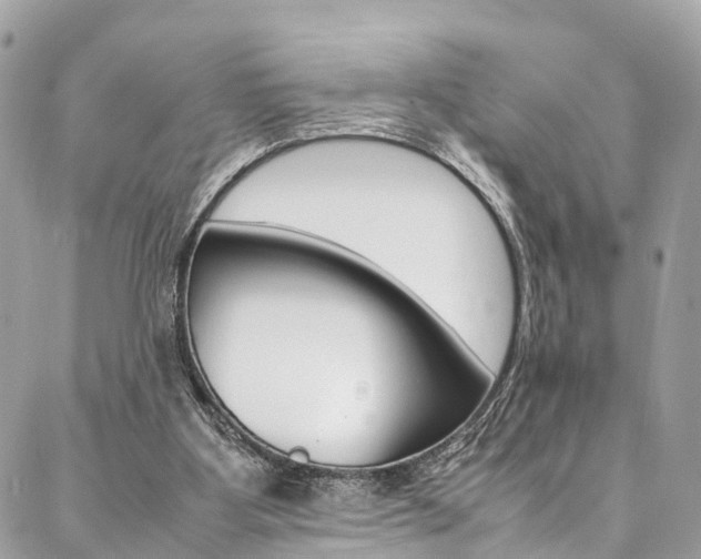 X0000086890107200704161016