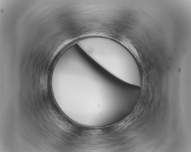 X0000086890108200704161016