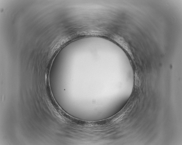 X0000086890109200704161016