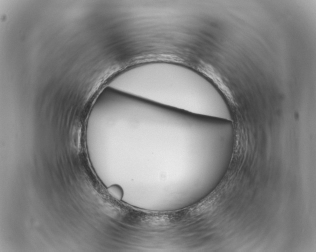 X0000086890110200704161016