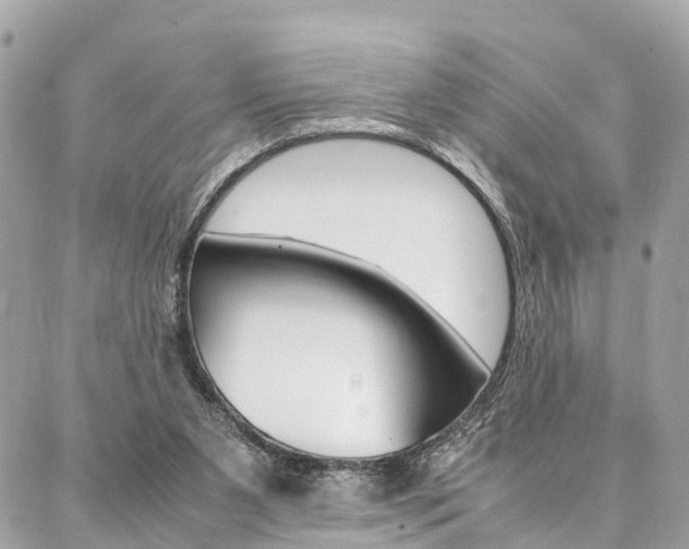 X0000086890111200704161016