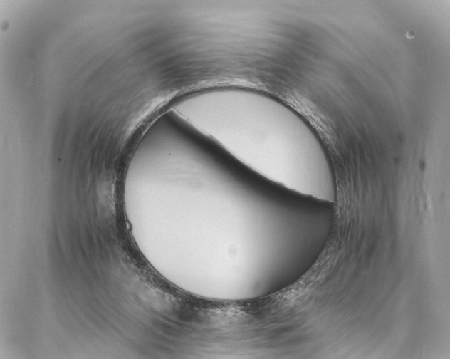 X0000086890112200704161016