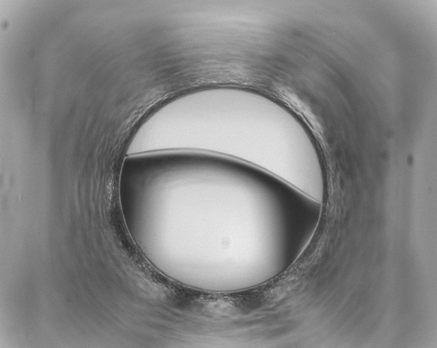 X0000086890113200704161016