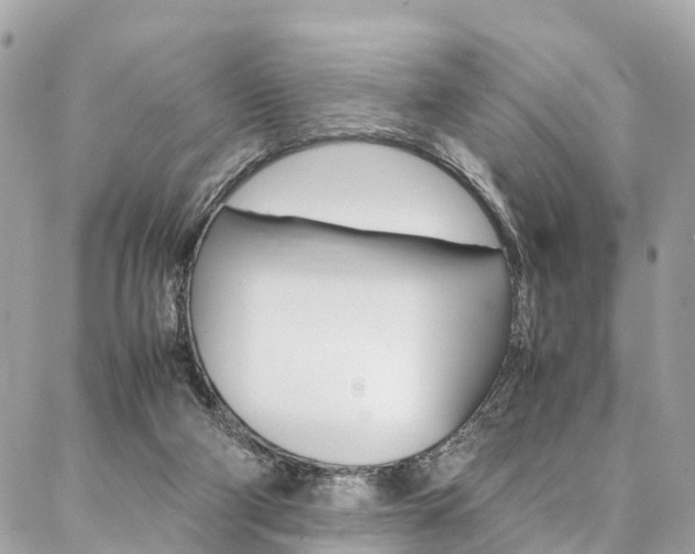 X0000086890114200704161016