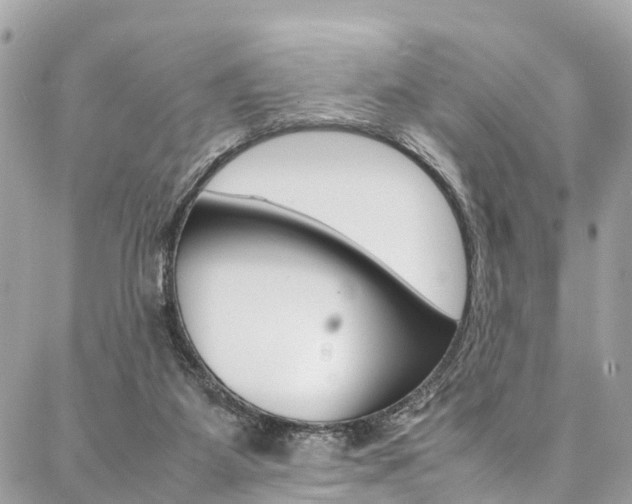 X0000086890115200704161016