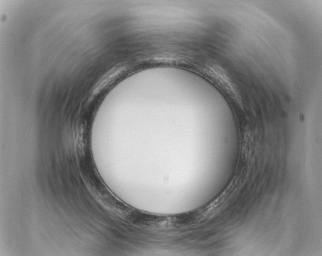 X0000086890116200704161016