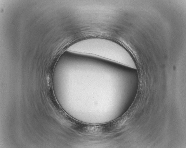 X0000086890117200704161016