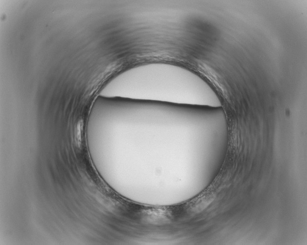 X0000086890118200704161016