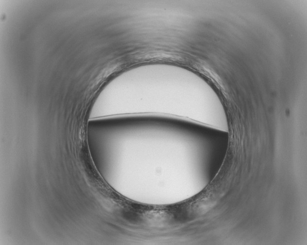 X0000086890119200704161016