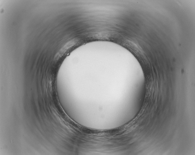 X0000086890120200704161016