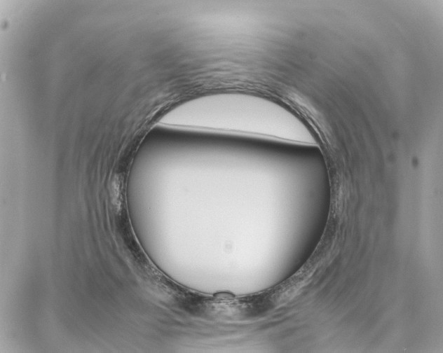 X0000086890121200704161016