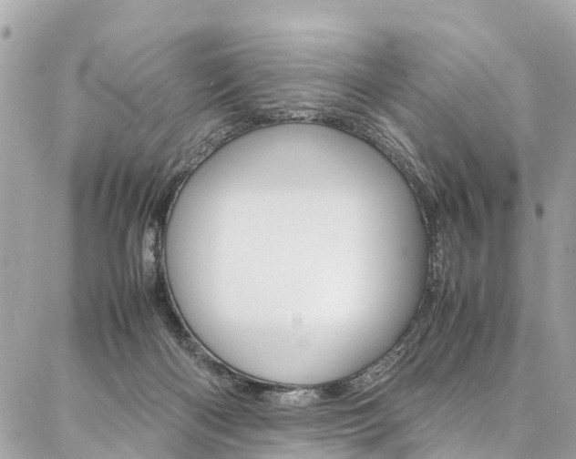 X0000086890122200704161016