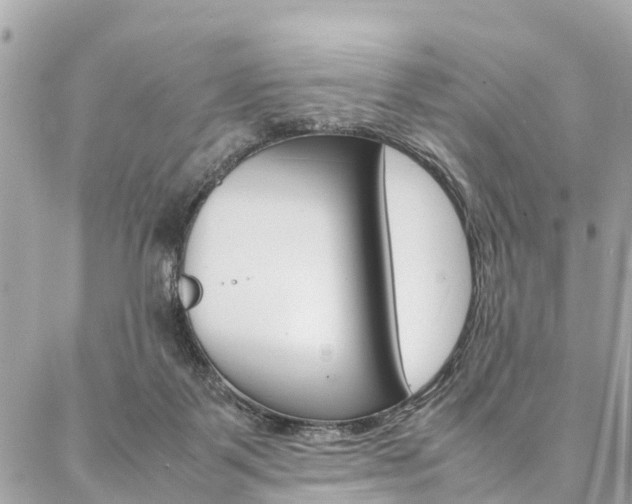 X0000086890123200704161016