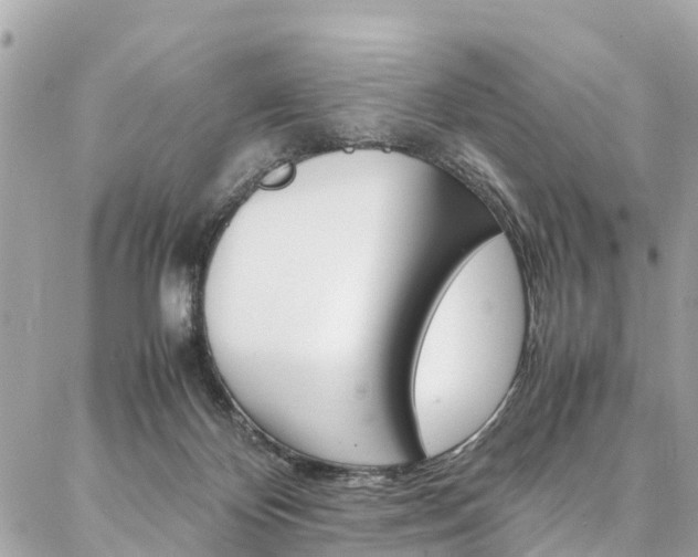 X0000086890124200704161016