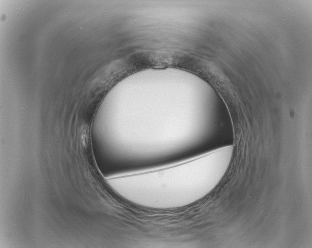 X0000086890125200704161015