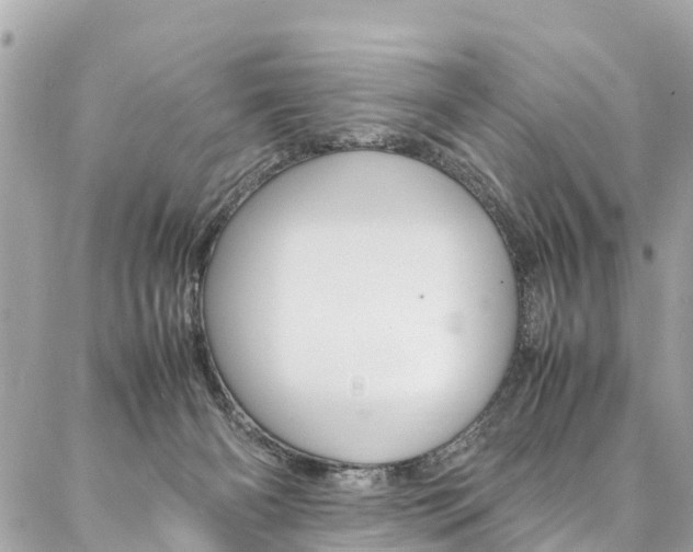 X0000086890126200704161015