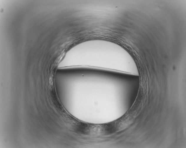 X0000086890127200704161015