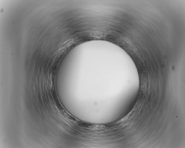 X0000086890128200704161015