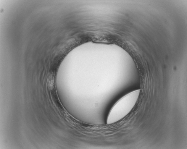 X0000086890129200704161015