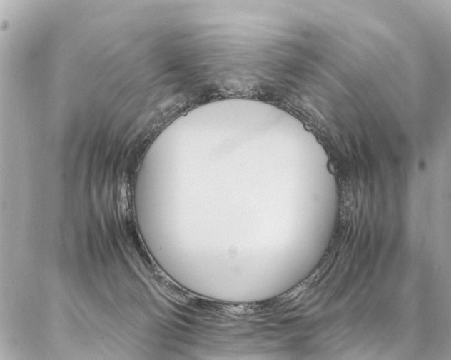 X0000086890130200704161015