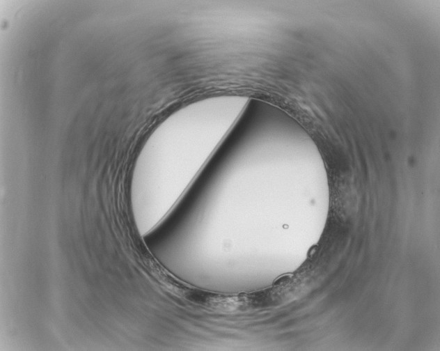 X0000086890131200704161015