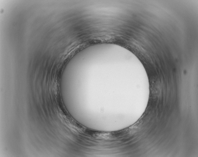 X0000086890132200704161015