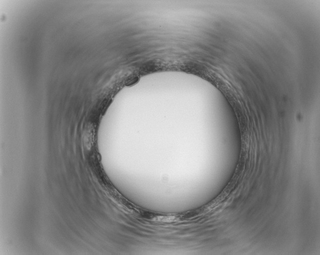 X0000086890133200704161015