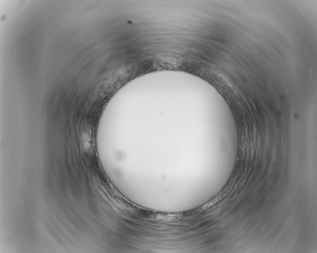 X0000086890134200704161015