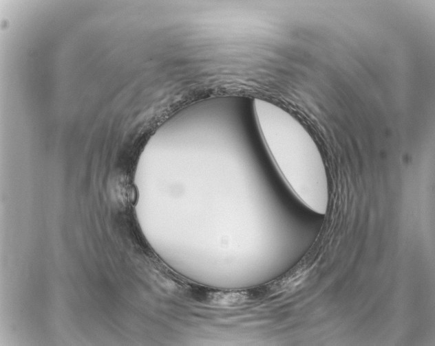 X0000086890135200704161015