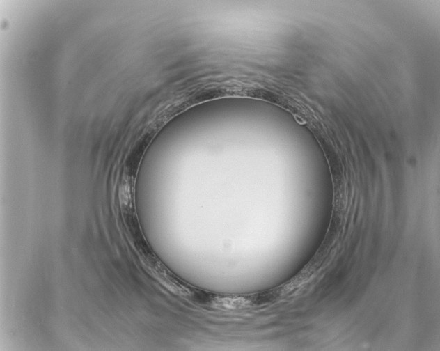 X0000086890137200704161015