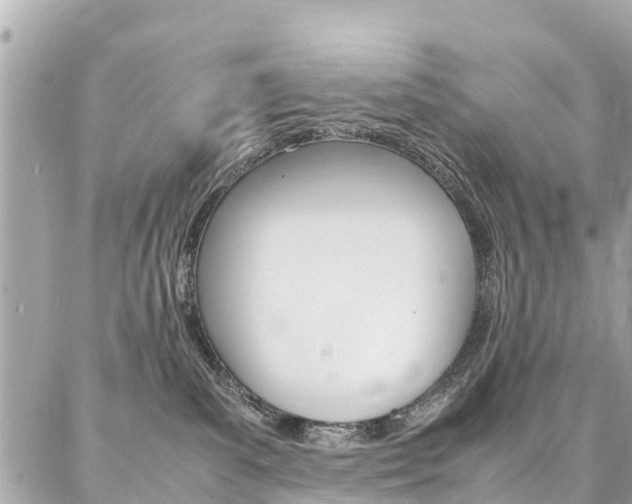 X0000086890139200704161015