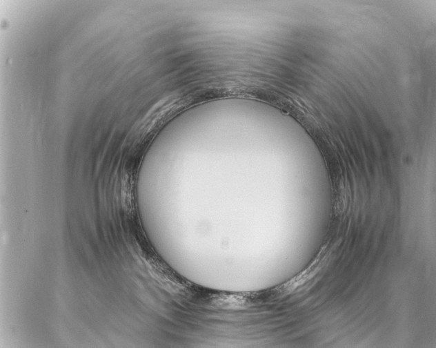 X0000086890140200704161015