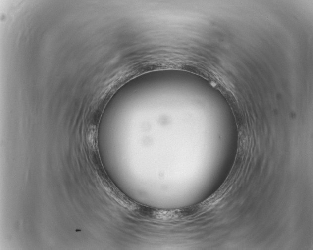 X0000086890141200704161015