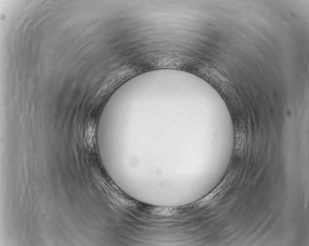 X0000086890142200704161015