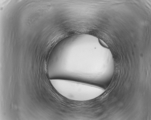 X0000086890143200704161015