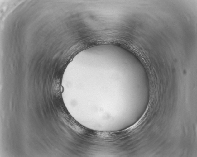 X0000086890144200704161015