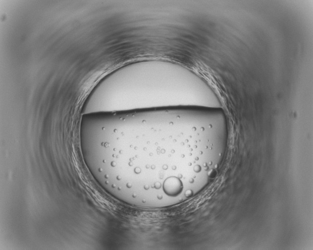 X0000086890145200704161014