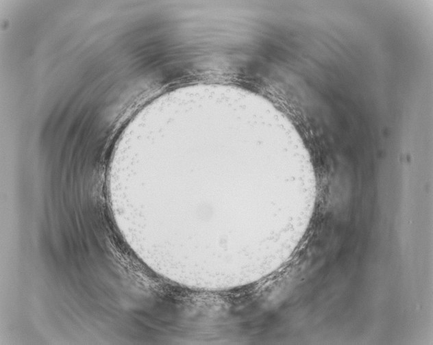 X0000086890146200704161014