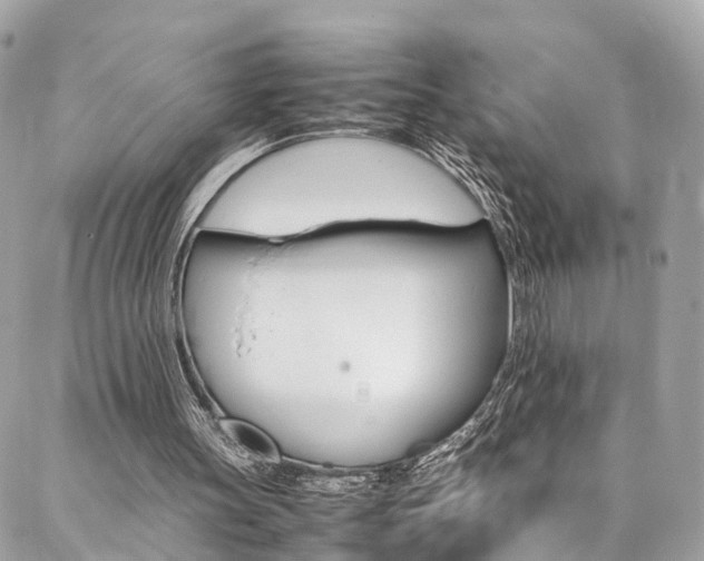 X0000086890147200704161014