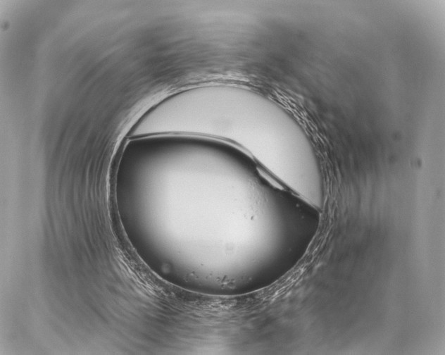 X0000086890148200704161014