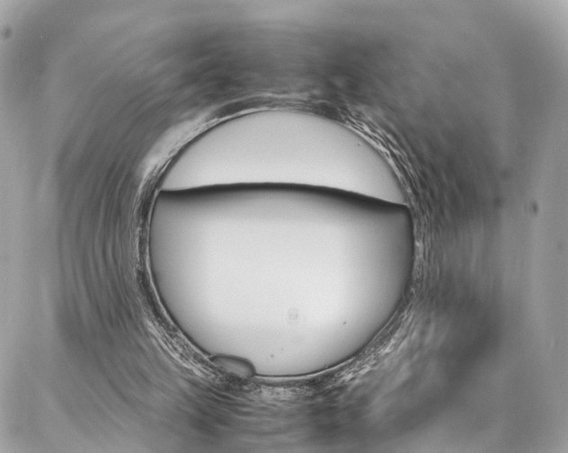 X0000086890149200704161014