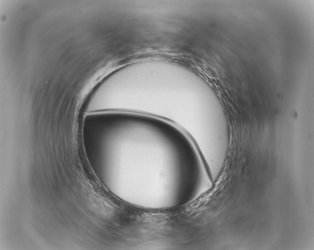 X0000086890150200704161014