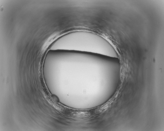 X0000086890151200704161014