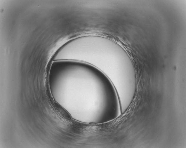 X0000086890152200704161014