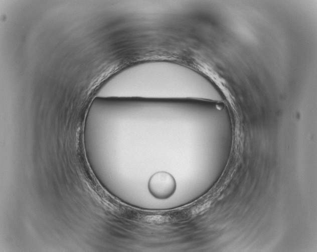 X0000086890153200704161015