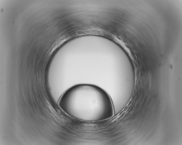 X0000086890154200704161015