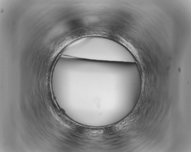 X0000086890155200704161015